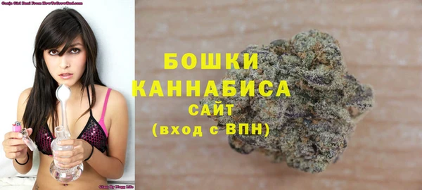 соль ск Абаза