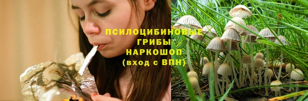 2c-b Абдулино