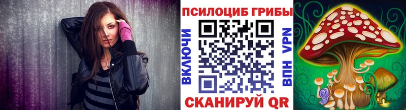Галлюциногенные грибы Psilocybine cubensis  купить   Сергач 